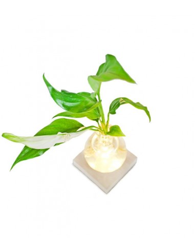Spatifillo Sfera con led