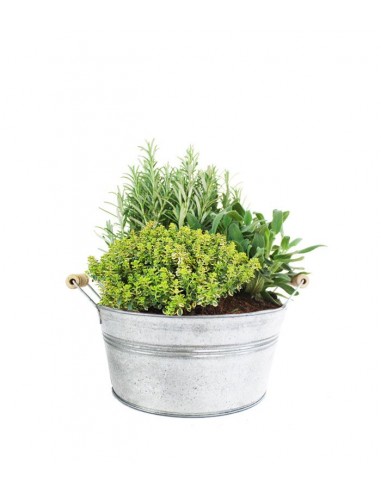 Tris rosmarino, timo limone e salvia