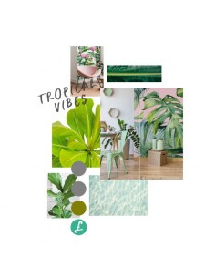 Tropical Vibes Pack 2