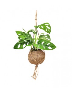 Monkey Mask in fibra di cocco