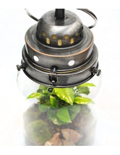 Lanterna terrarium con led 2