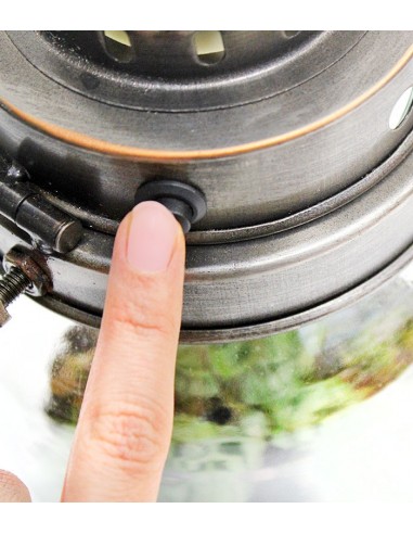 Lanterna terrarium con led