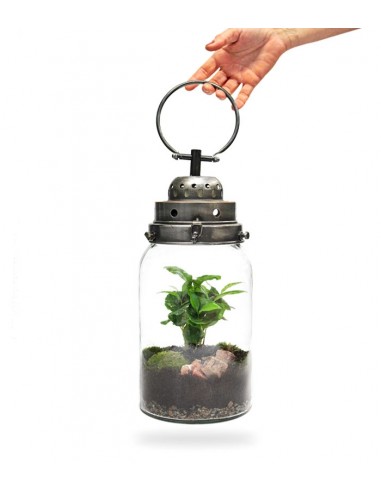 Lanterna terrarium con led
