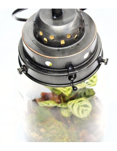 Lanterna terrarium con led