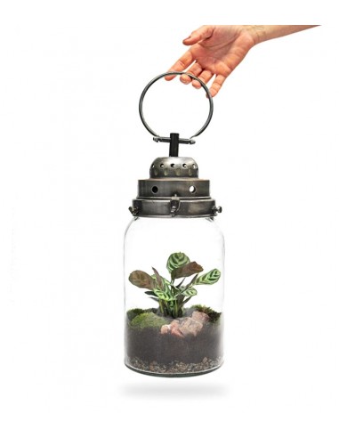 Lanterna terrarium con led