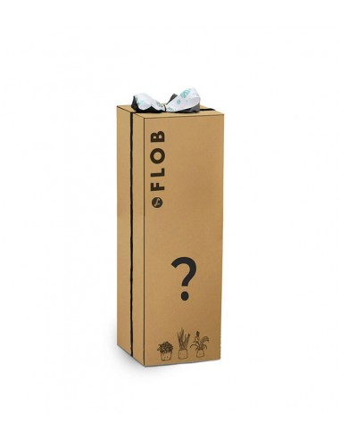 Beginners pack
