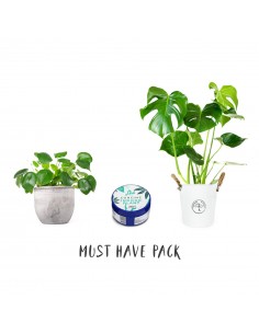 Must have Pack