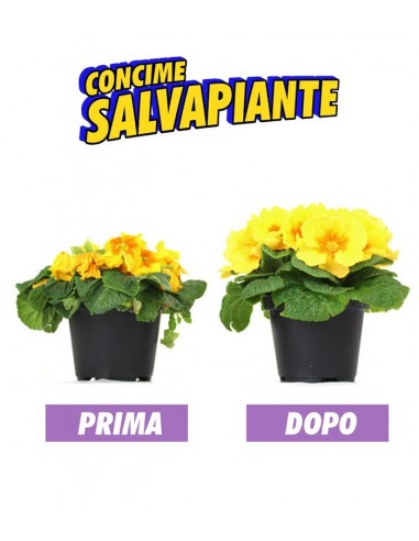 Concime salvapiante universale100g