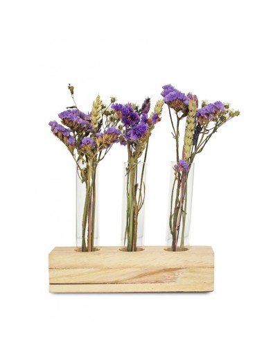 Fiori essiccati tris
