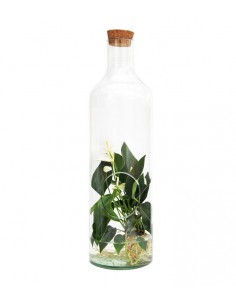 Anthurium bianco in vetro