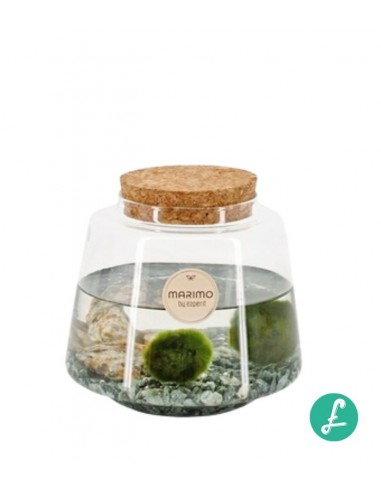 Marimo in vetro 13x20 cm