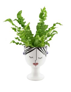 Tranquilla | Vaso per... 2