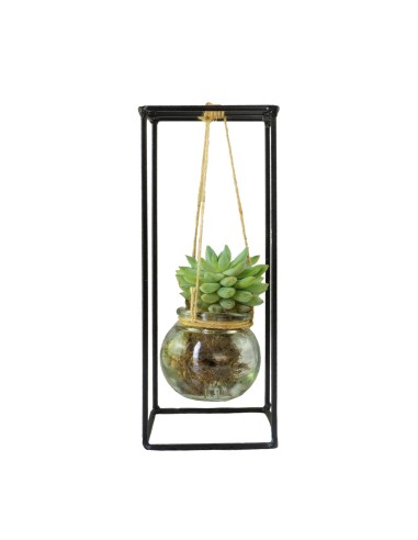 Composizione Succulente in vetro appeso