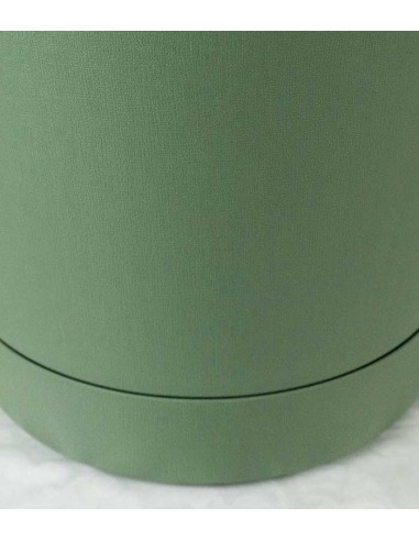 Monstera Minima Palo