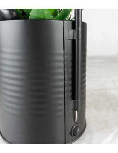 Succulente con lampada di design Nero