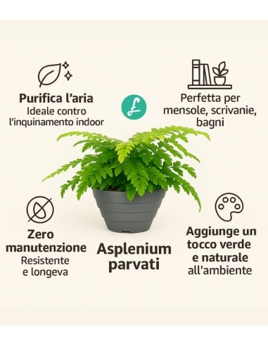 Asplenium parvatii