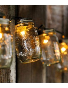 Filo di luci con vasetti 2