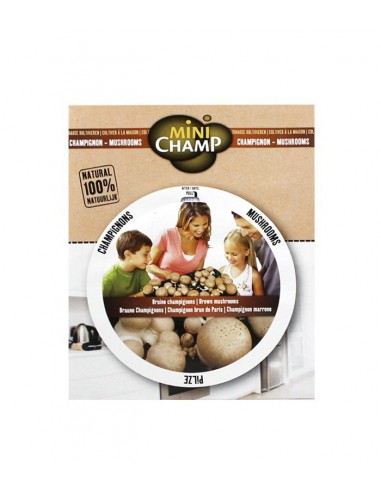 Kit fungo champignons marrone