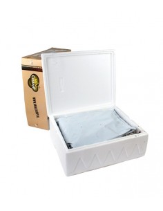 Kit fungo champignons marrone 2