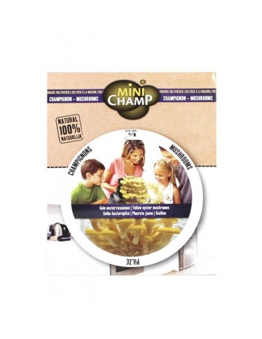 Kit fungo giallino