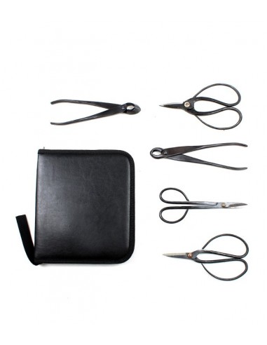 Kit utensili bonsai con astuccio