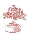 Bonsai 