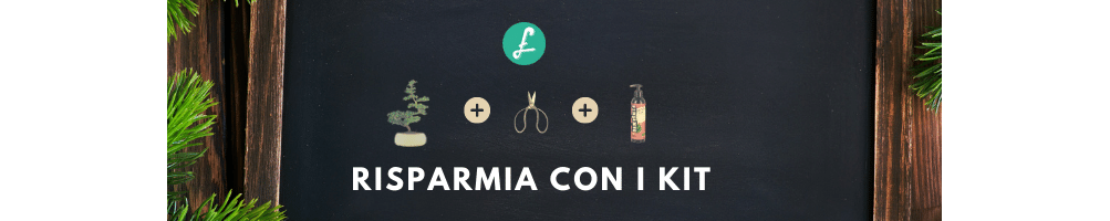 Kit piante per principiante ed  esperti! Idea regalo
