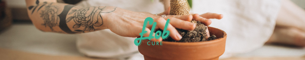 Coltiva le tue piante con i concimi della linea Flob Cure!