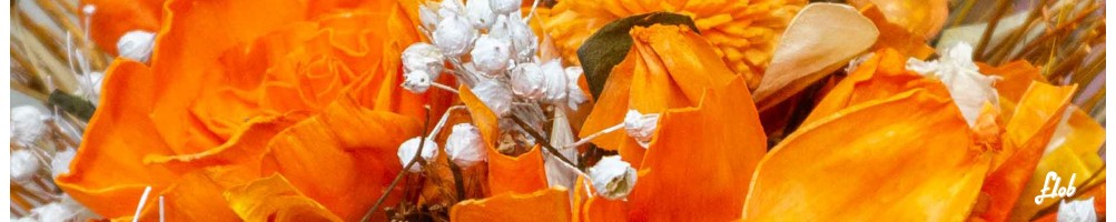 Composizione Fiori secchi