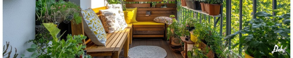 Piante da balcone sempreverdi, meravigliose| in vendita online