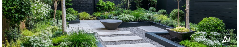 Piante da Giardino Perenni: Sempreverdi, Fiorite e Resistenti | Acquista Online