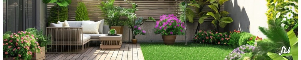 Piante da Giardino Resistenti al Sole: Fiorite, Perenni e Siccità | Acquista Online
