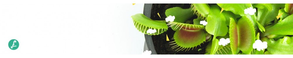 Piante carnivore