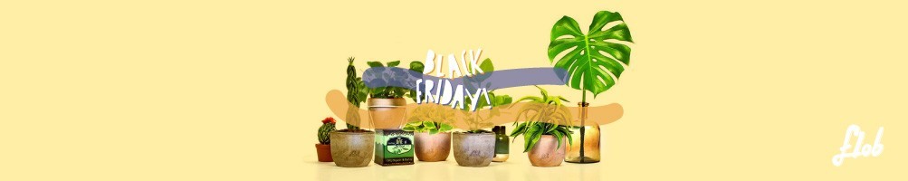 Piante Black Friday Flob !