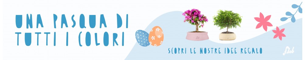 Idea pasqua