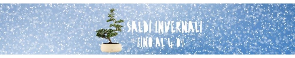 SALDI INVERNALI piante, bonsai e arredamento green in promo!  FLOB