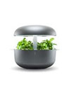 PLANTUI