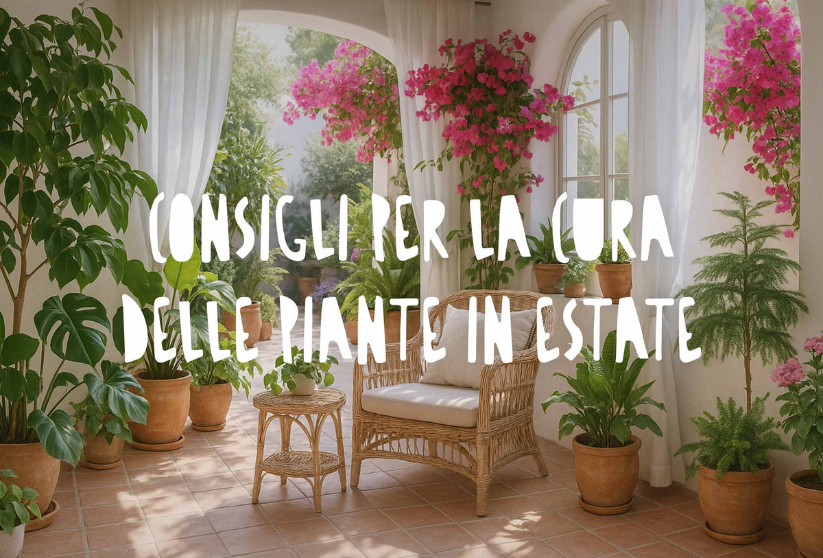 Guida alla Cura delle Piante in Estate: Consigli per Affrontare il Caldo