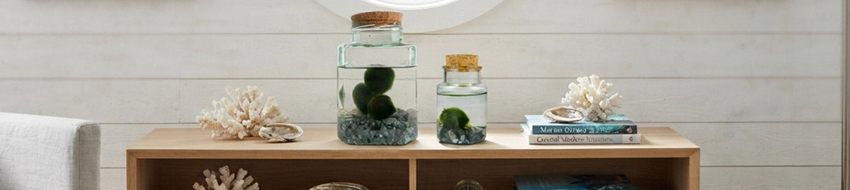 Piante Acquatiche