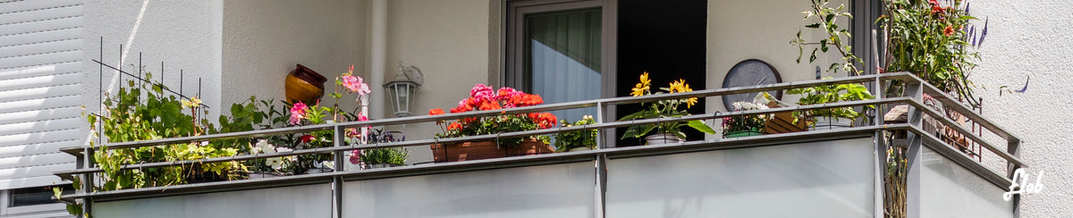 Piante da balcone