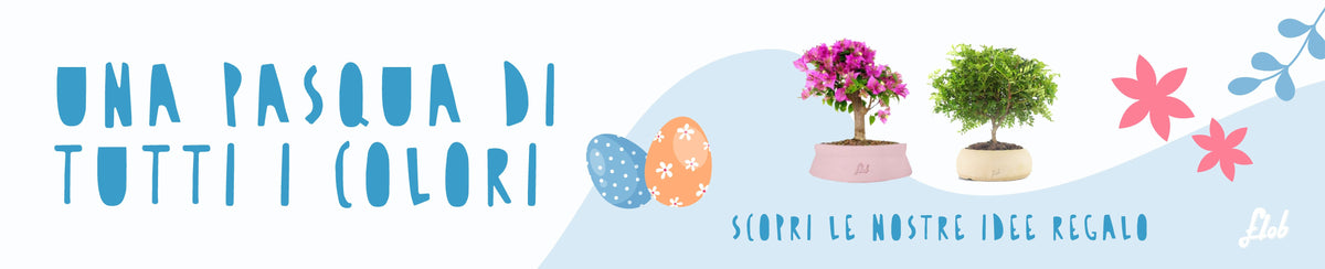 Idea pasqua