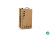 Filodendro Monkey Mask Idro con led