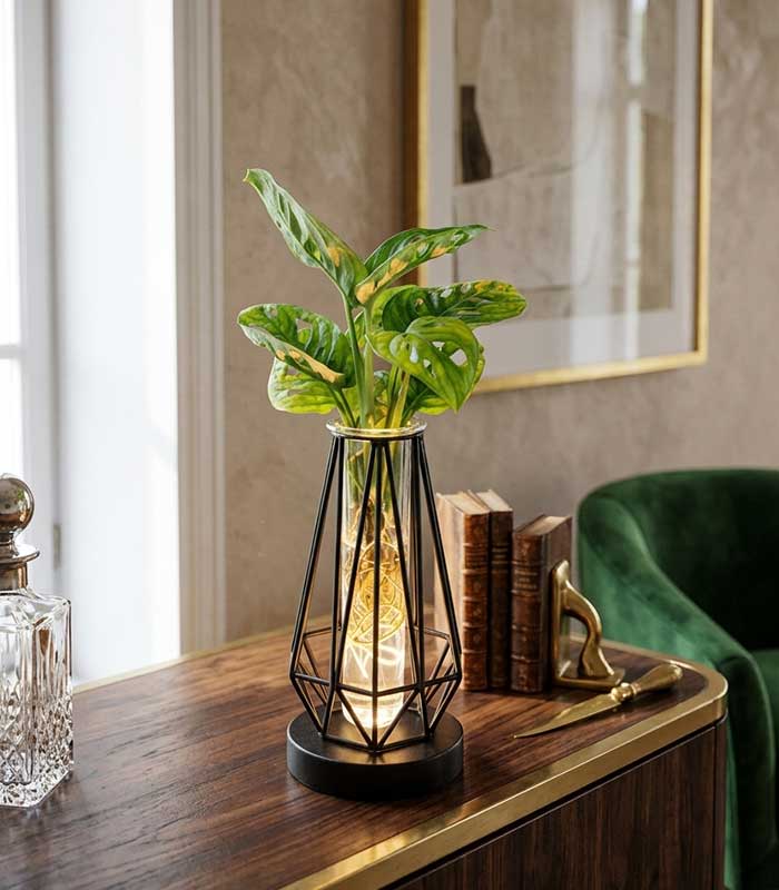 Lume Verde | Pianta in idroponica con lampada LED