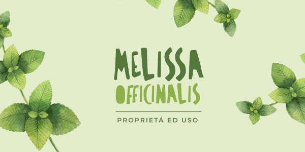 Melissa officinalis: Proprietà ed uso dell’erba limoncina.