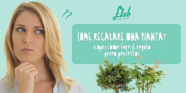 Come regalare una pianta: scopri come fare il regalo green perfetto