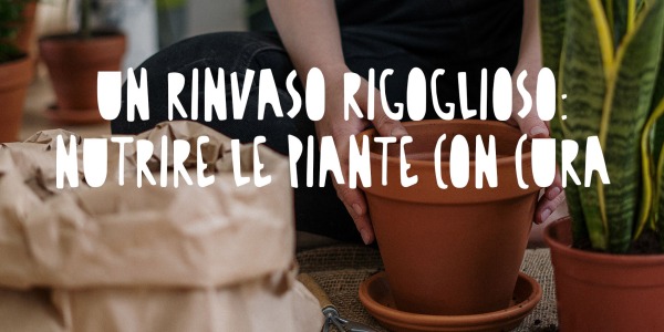 Un Rinvaso Rigoglioso: Nutrire le Nostre Piante con Cura