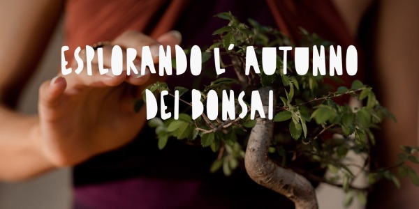 Esplorando l'Autunno dei Bonsai: Un Viaggio Incantato tra Colori e Cure