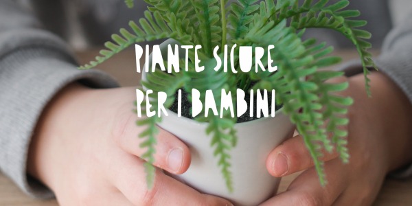 Piante Sicure per i Bambini: Come Creare un Ambiente Protetto e Verde in Casa