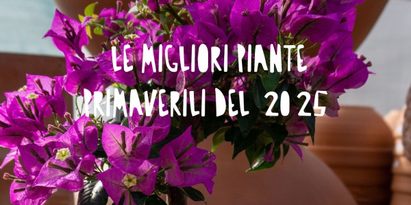 Le migliori piante primaverili 2025 per casa, ufficio e giardino