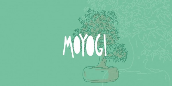 Gli stili dei Bonsai: Moyogi o Eretto informale